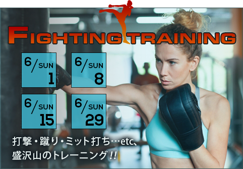 ファイティングトレーニング