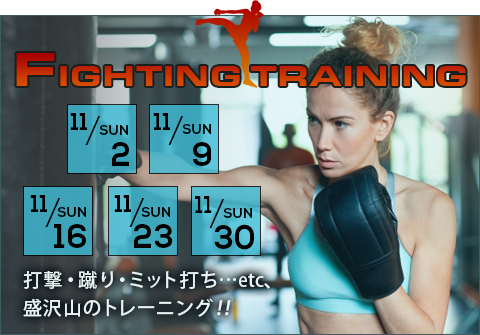 ファイティングトレーニング