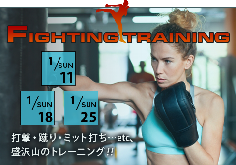 ファイティングトレーニング