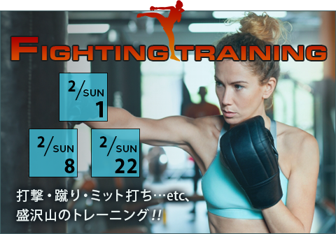 ファイティングトレーニング