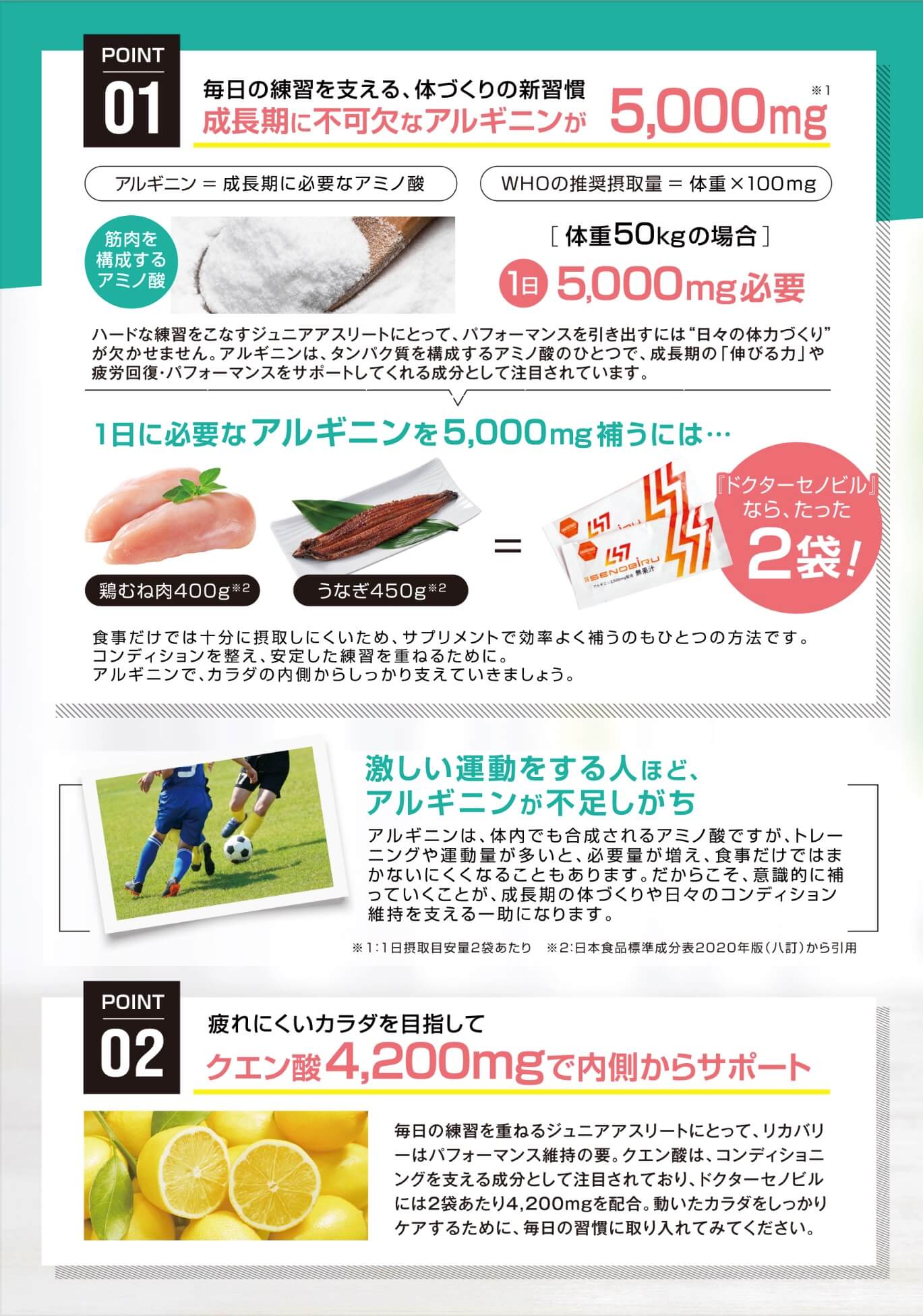 セノビルの特長案内画像001